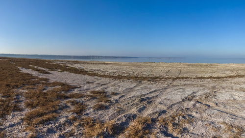 Scenic view of beach against clear blue sky