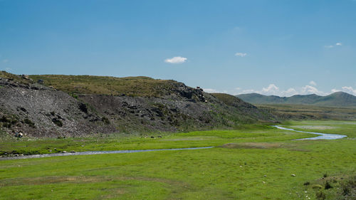 Scenic view of field against sky