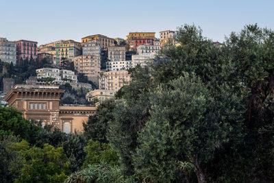 Trees and buildings against sky
