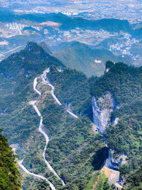 High angle view of trees on land