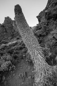 Low angle view of mountain