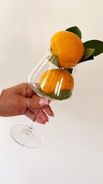 High angle view of hand holding drink against white background