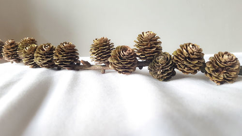 Close-up of pine cone on table