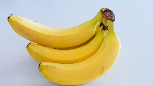 Close-up of yellow fruit against white background