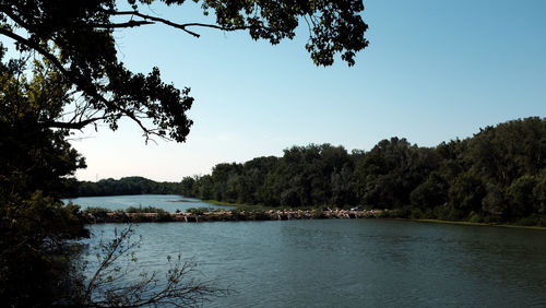 Scenic view of lake against clear sky