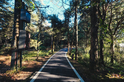 Empty road along trees in forest