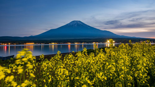 Scenic view of sea and yellow flowers against sky