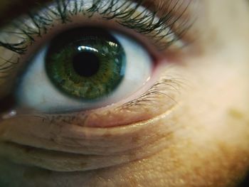 Close-up of human eye