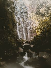 Scenic view of waterfall in forest