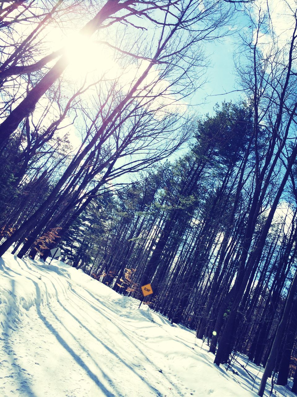 snow, winter, tree, cold temperature, sun, sunlight, season, bare tree, branch, nature, tranquility, sunbeam, tranquil scene, beauty in nature, lens flare, sunny, sky, weather, covering, day