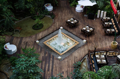 High angle view of plants on table