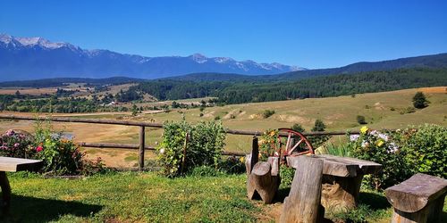 Scenic view of field against clear blue sky