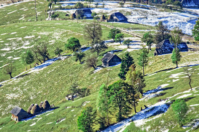 High angle view of trees on landscape