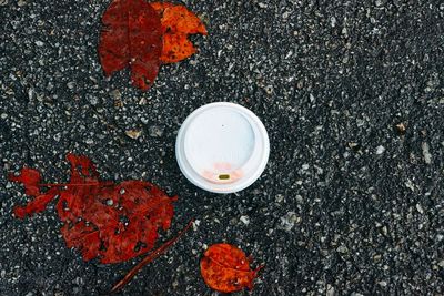 High angle view of drink on street