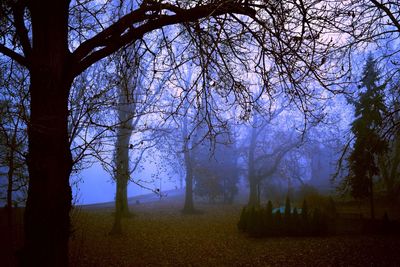 Silhouette trees on landscape against sky