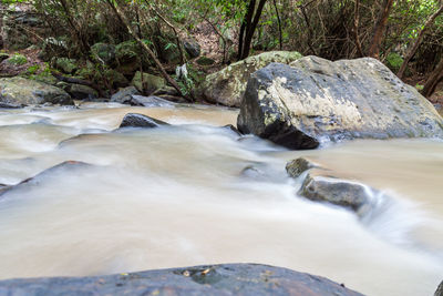 Scenic view of waterfall in forest