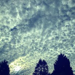 Low angle view of silhouette trees against cloudy sky