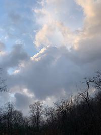 Low angle view of silhouette trees against sky