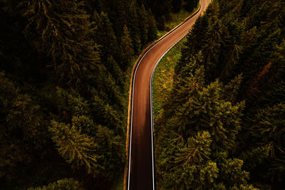 High angle view of road amidst trees