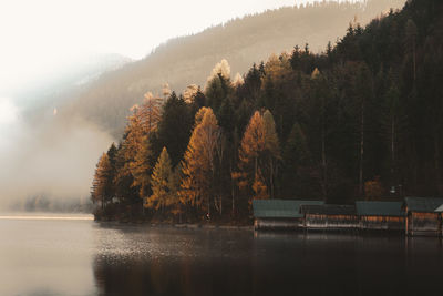 Trees by lake during autumn