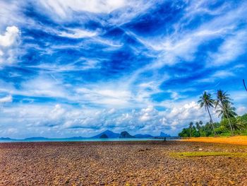 Scenic view of landscape against blue sky