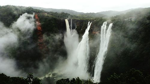 Scenic view of waterfall in forest