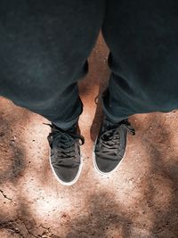 Low section of man standing on land