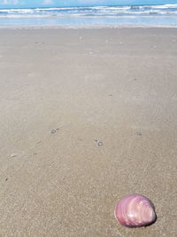 Sand on beach