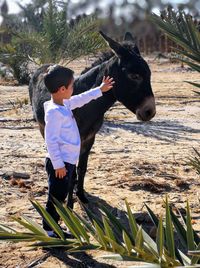 Boy with horse standing on field