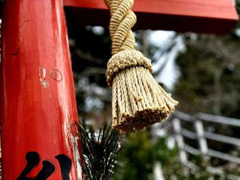 Close-up of rope tied on wood