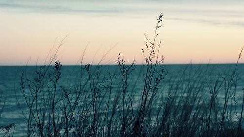 Scenic view of landscape against sky at sunset