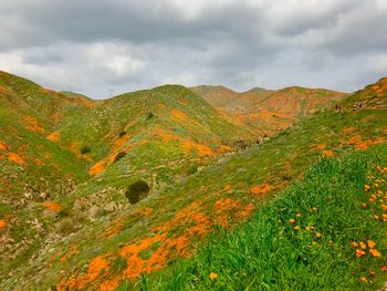 Scenic view of mountains against sky