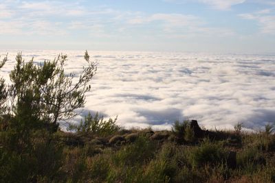 Scenic view of land against sky