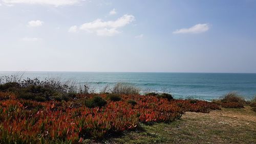 Scenic view of sea against sky