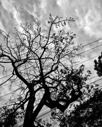 Low angle view of bare tree against cloudy sky