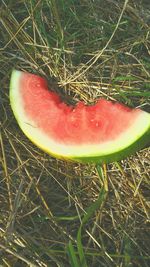 Close-up of apple on grass