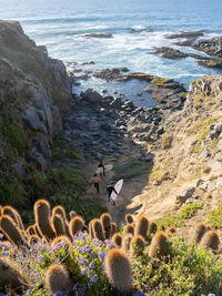 Scenic view of sea shore