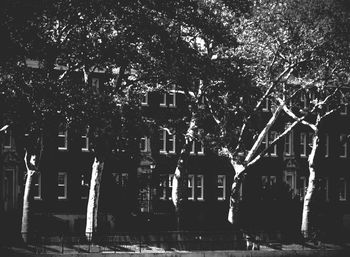 Built structure with trees in background