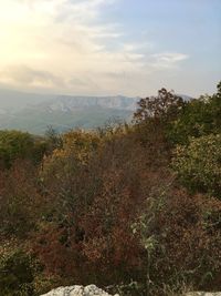 Scenic view of landscape against sky