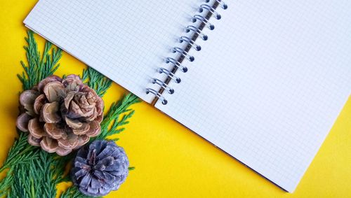 High angle view of various flower on table