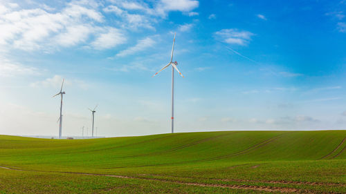 Scenic view of agricultural field against sky