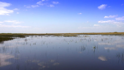 Scenic view of lake against sky