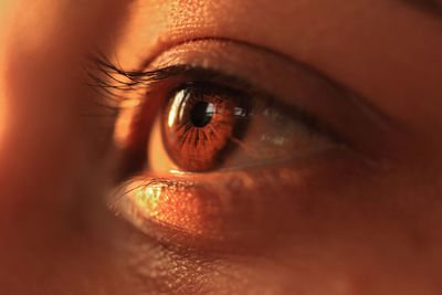 Extreme close up of human eye