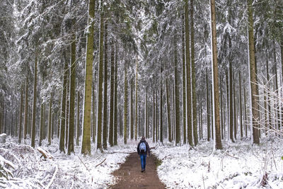 Rear view of person standing on snow covered land