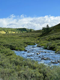 River in altai mountains, russia 