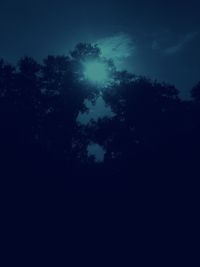 Low angle view of trees against sky