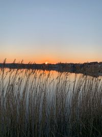 Scenic view of lake against clear sky during sunset