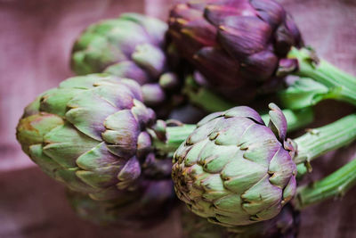 Close-up of purple flower buds