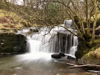 View of waterfall in forest