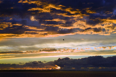 Birds flying in sky during sunset